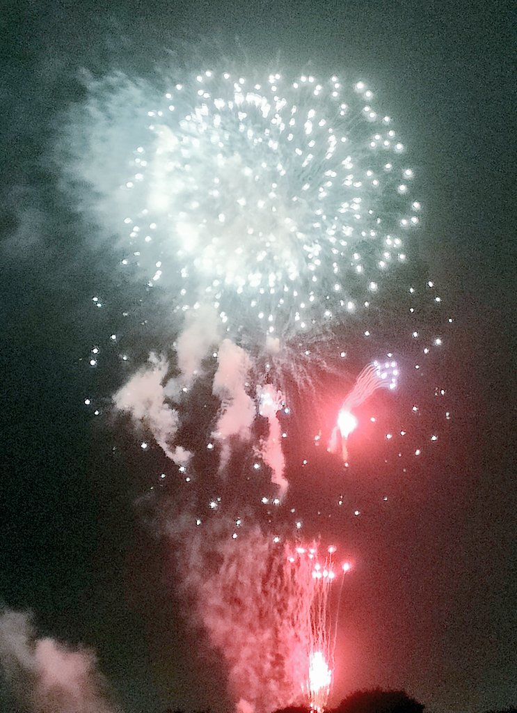 fewmanyblue's tweet photo. 花火観れた〜 https://t.co/k4jVm2Qlfp