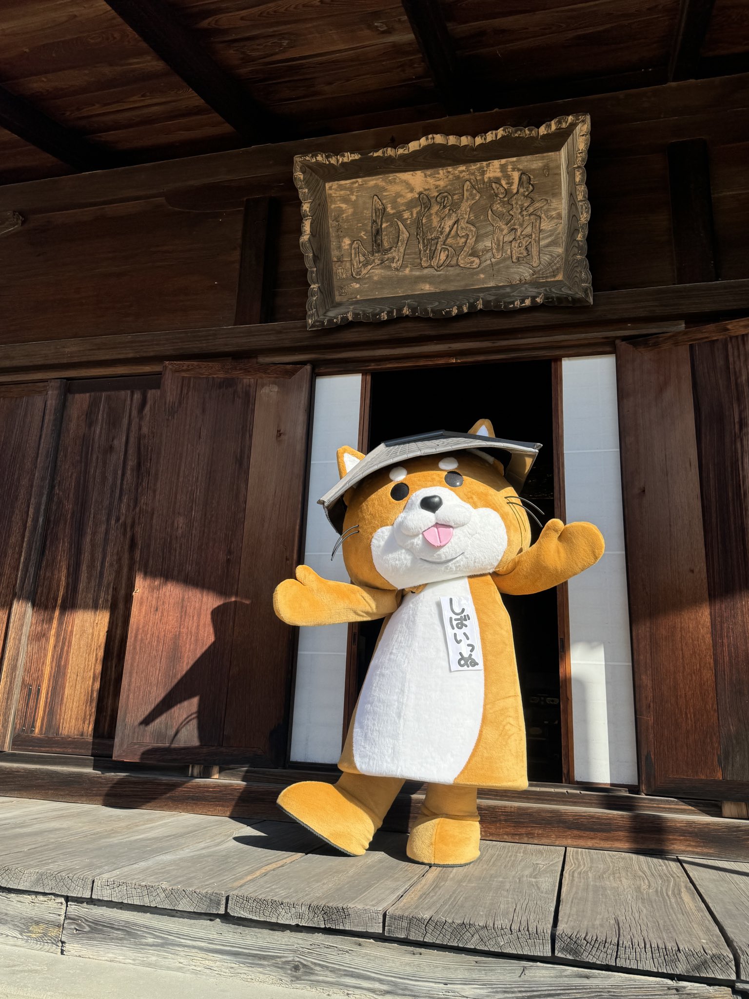 茶しばきいぬ 07dff8eb4daebb933d3156f4101567