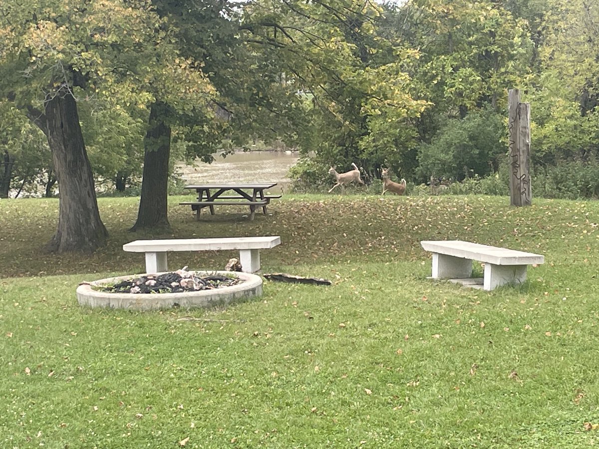 Serene morning view  ⁦<a href="/umanitoba/">University of Manitoba</a>⁩ <a href="/robsonhall/">Faculty of Law, University of Manitoba</a>⁩