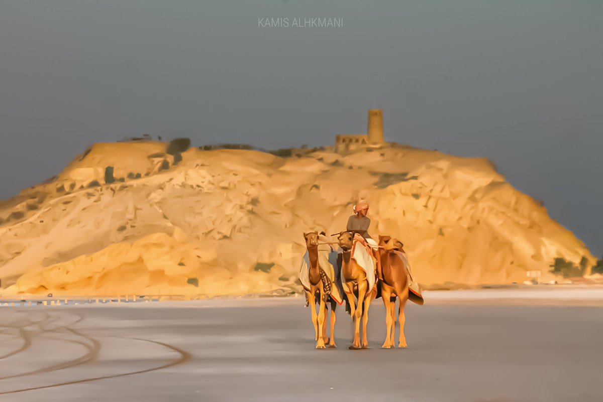 oashsdb2012's tweet photo. أهلاً. كيف حالك 
مرحبًا مسقط، عمان ( muscat, oman )
I'm in Al Khuwair Boushar Ghala Azaiba Ghubra al khould al seeb 
I Love Oman 🇴🇲
سعيد بلقائك https://t.co/s7rxJXbFvo