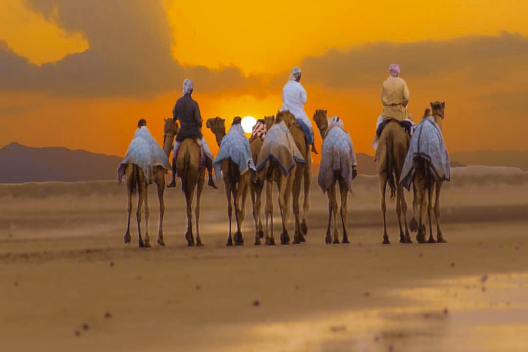 oashsdb2012's tweet photo. أهلاً. كيف حالك 
مرحبًا مسقط، عمان ( muscat, oman )
I'm in Al Khuwair Boushar Ghala Azaiba Ghubra al khould al seeb 
I Love Oman 🇴🇲
سعيد بلقائك https://t.co/s7rxJXbFvo