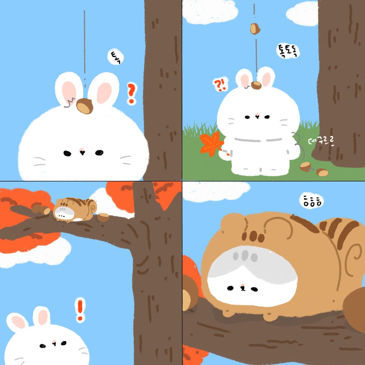 RABBIT BORI / 래빗보리 tweet media