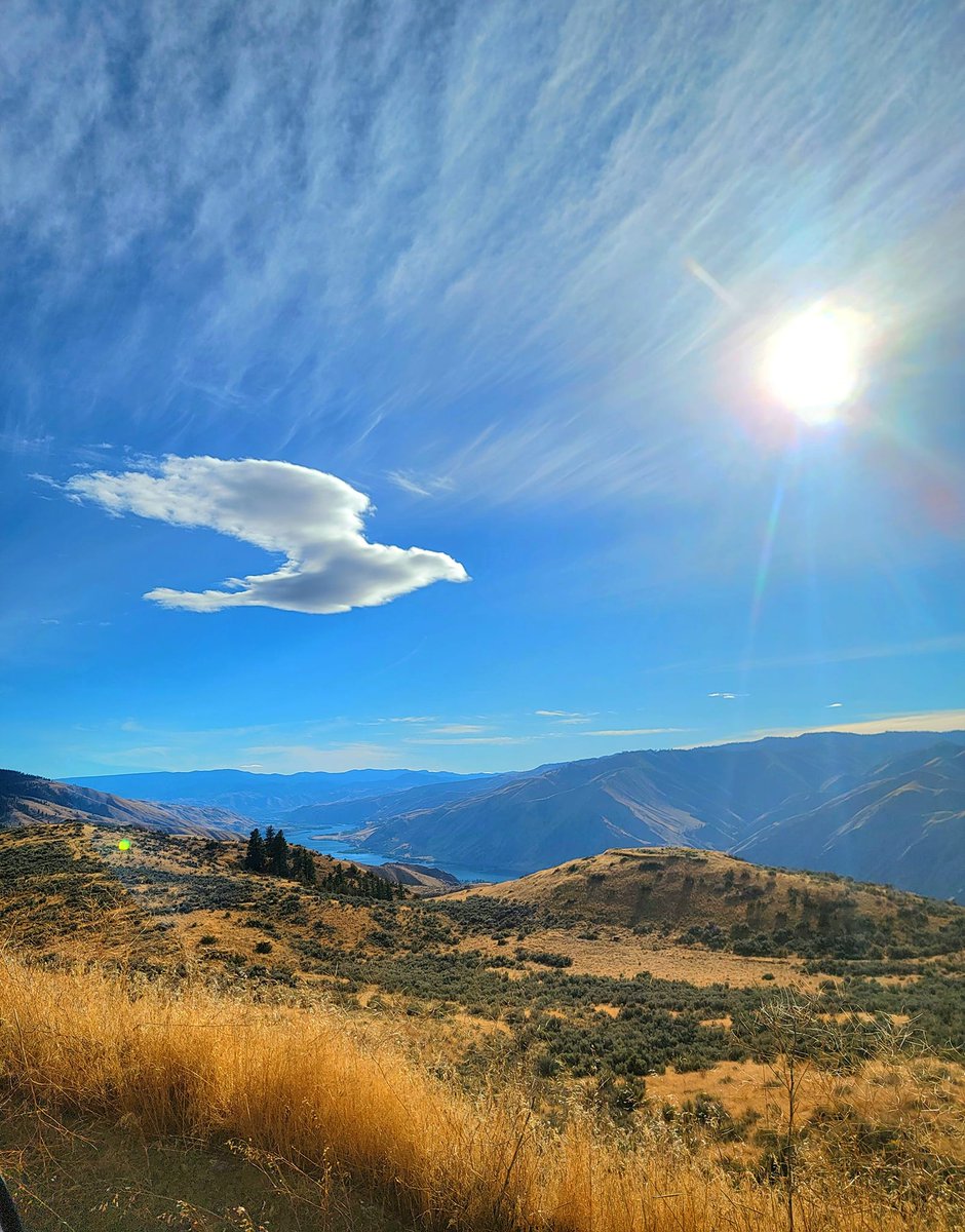 Seattle Refined tweet media