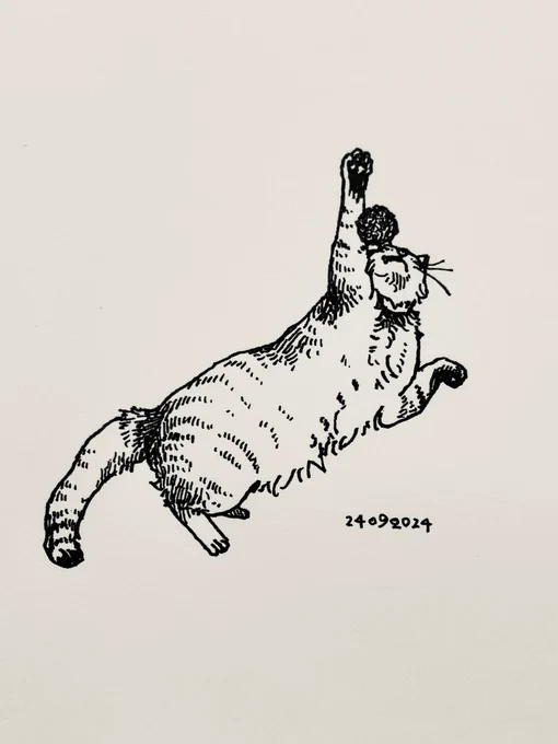 チャンコマはちょっとどんくさい