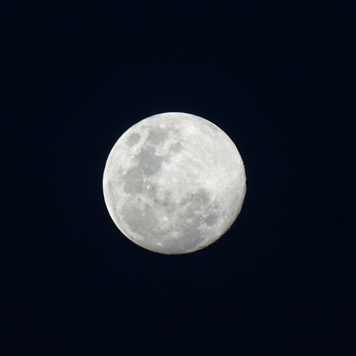 Rex_mutikwa's tweet photo. The supper blue moon.. https://t.co/60pWJUzThN