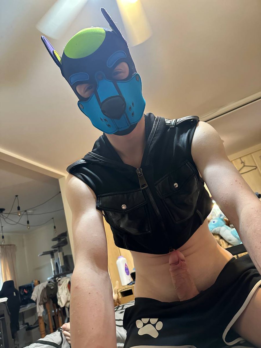 Rico 🔜 fursuit tweet media