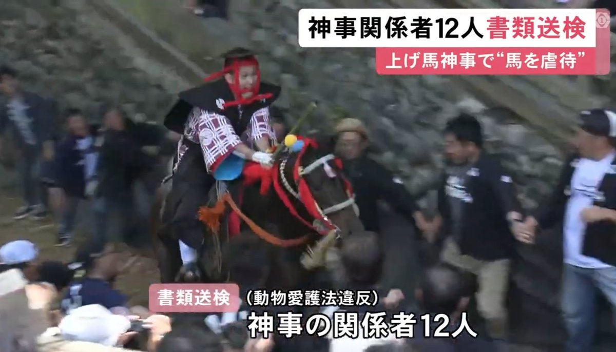 tkzwgrs's tweet photo. 【続報】三重県の伝統行事『#上げ馬神事』、行事関係者12名が動物愛護法違反容疑で書類送検
https://t.co/4RFZCllHCC
・2023年5月の祭りを巡って動物愛護団体が「馬への虐待だ」と刑事告発
・今年からは壁をなくす等の改善策が取られる
・行事主催団体は「これからも安全に祭りを続けたい」と��メント https://t.co/Cz7qolXLZB