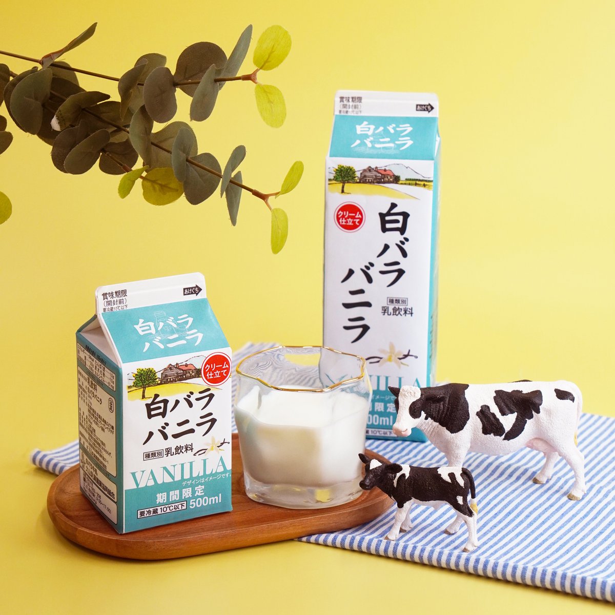 本日（12/4）から、白バラココアが期間限定で販売スタート🍫 ガーナ産カカオ豆から作ったココアを使用した『白バラココア』をぜひ店頭で探してみてください。  オンラインストアでもお取り扱い中です🛒 #白バラ牛乳 #白バラコーヒー #大山乳業 #白バラ #白バラココア #期間 