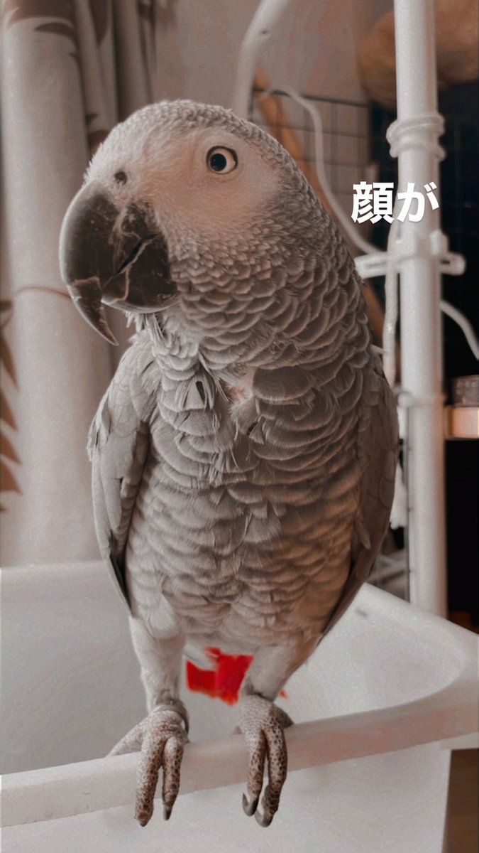TORUMI6's tweet photo. https://t.co/ml2LJtjDO1