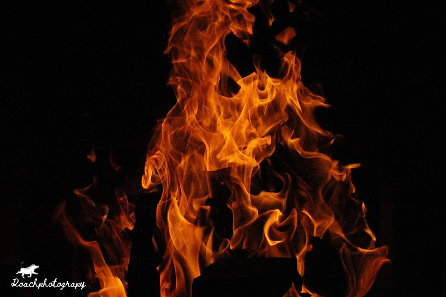 Fire, a mesmerising force, burns with a ferocious grace, offering warmth and light yet holding the power to consume everything in its path. #roachphotography #firefart #burns #beauty #heritageday24 #Danger #Flames #wildearth #naturephoto #picoftheday  #wanderlust #blupebblestours