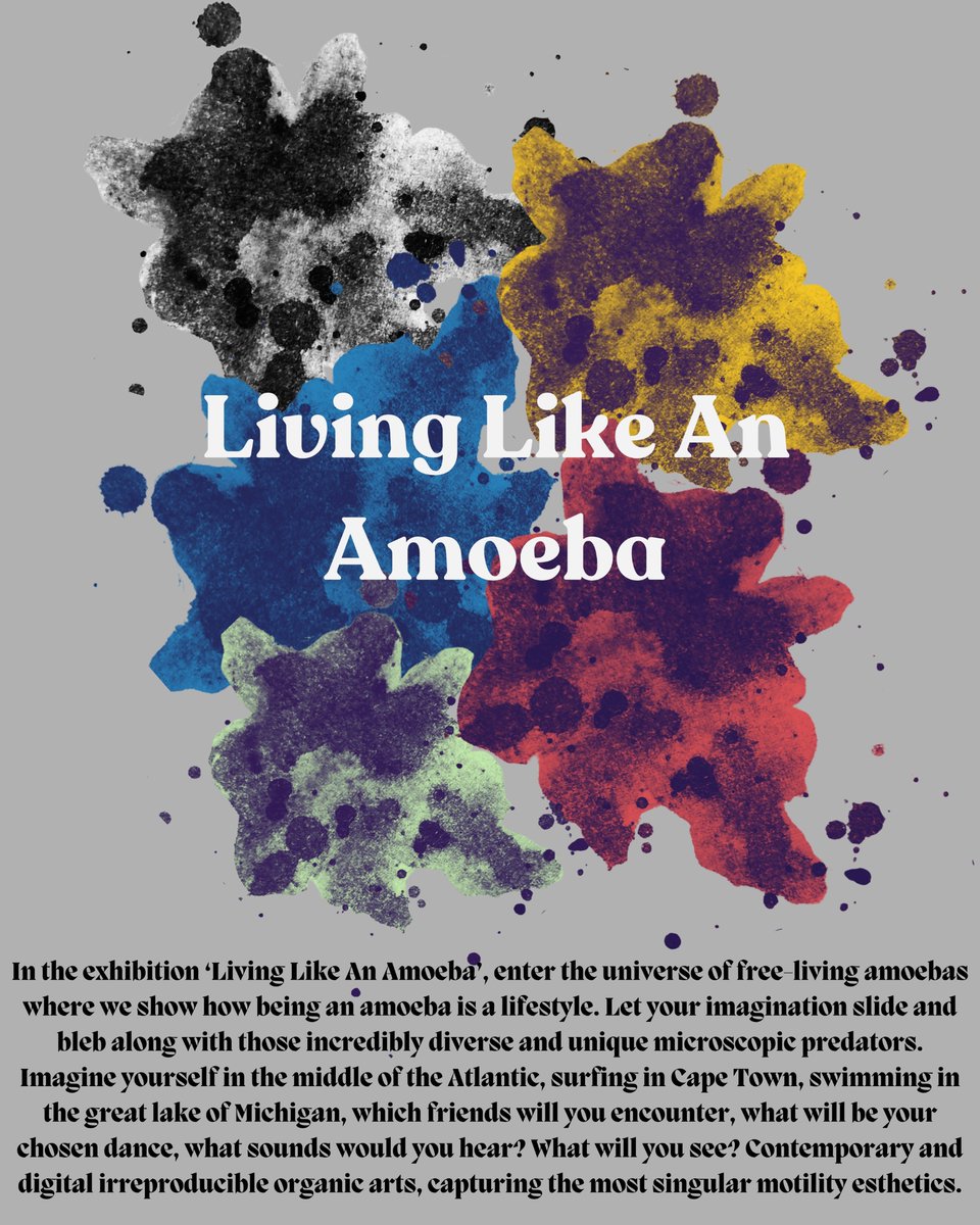 Tinadynamics tweet media