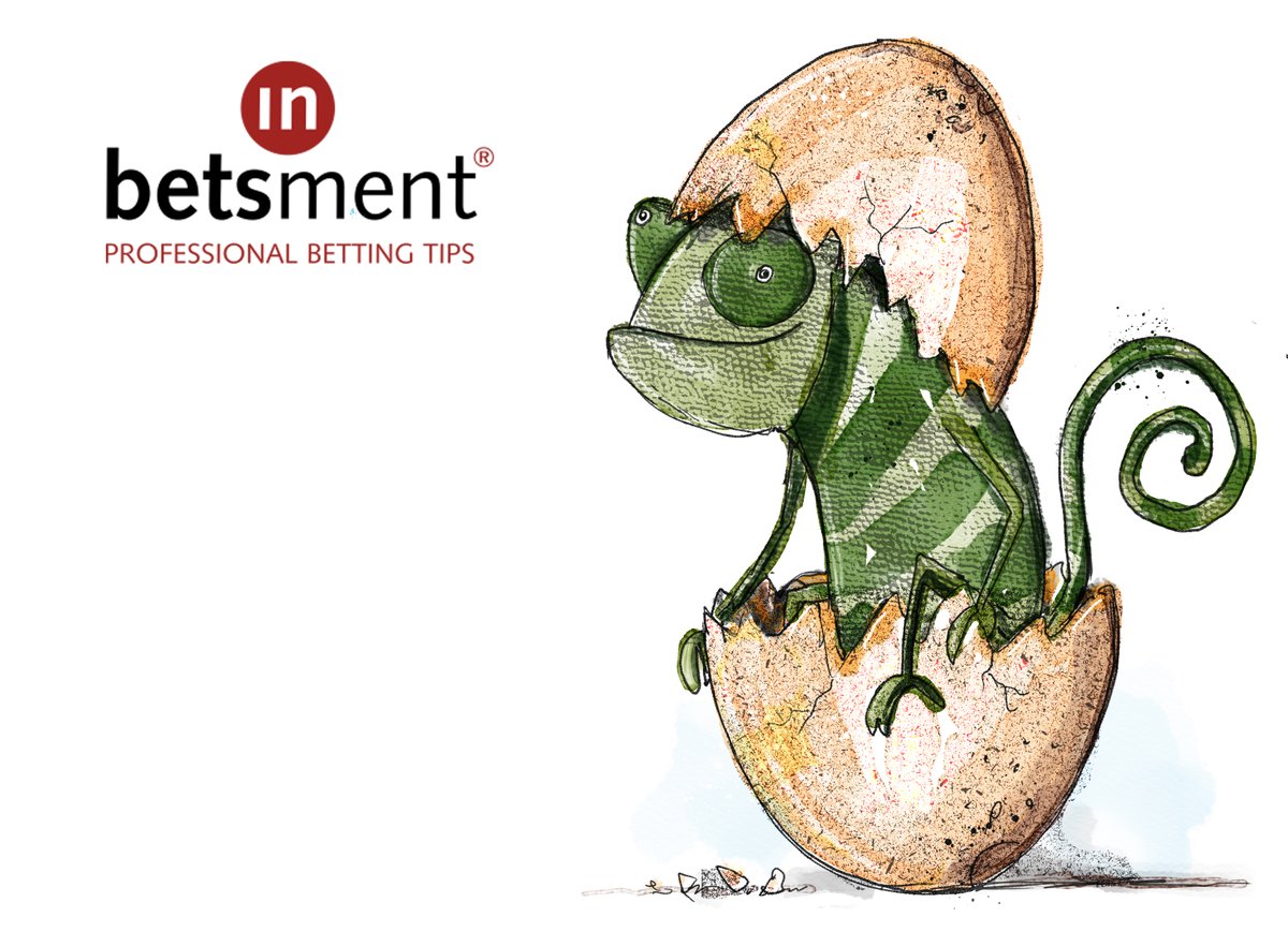 InBetsment's tweet photo. Septiembre 🤝 InBetsment

🎂🎂🎂🎂🎂🎂🎂🎂🎂
Sí, ¡cumplimos 9⃣ años!

TODA LA SEMANA
TODO AL 50%
🛒 https://t.co/TrxtHjoCG3

🎁 Es tradición: regalamos 5 suscripciones (30 días) entre los RT.

🙌 ¡GRACIAS por acompañarnos en algún momento durante este tiempo...
💪 ... y SEGUIMOS! https://t.co/YHYago2K0S