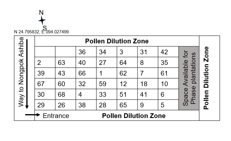 DrVivekVaishnav's tweet image. The first germplasm bank of the &apos;state tree of #Manipur&apos; is being established by the Central Division @GANESHN1985 state forest department of Manipur, under the commendable supervision of the HoFF @ANURAGBAJP83366 and technical support from Department of Forestry @ManipurUniverse