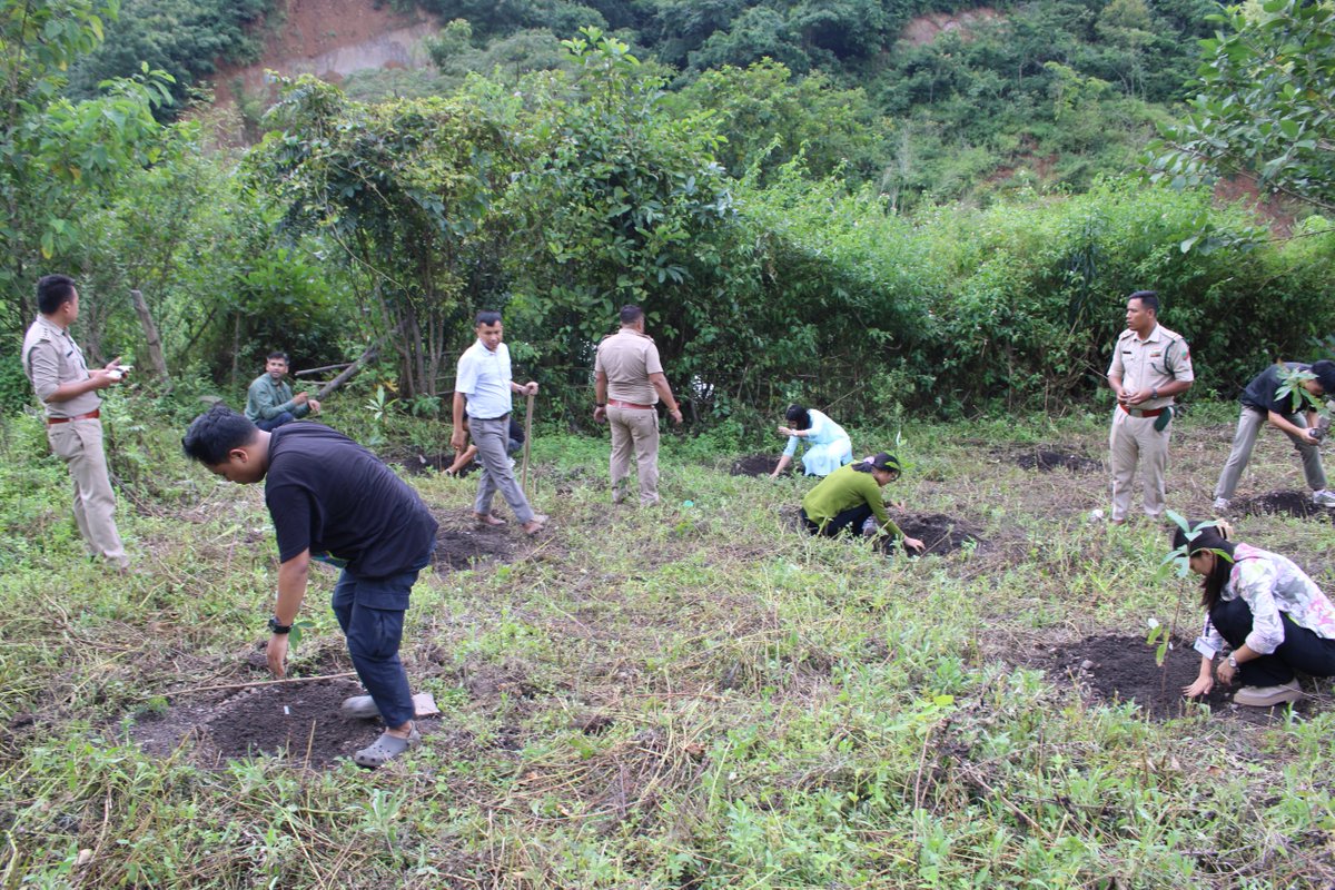 DrVivekVaishnav's tweet image. The first germplasm bank of the &apos;state tree of #Manipur&apos; is being established by the Central Division @GANESHN1985 state forest department of Manipur, under the commendable supervision of the HoFF @ANURAGBAJP83366 and technical support from Department of Forestry @ManipurUniverse