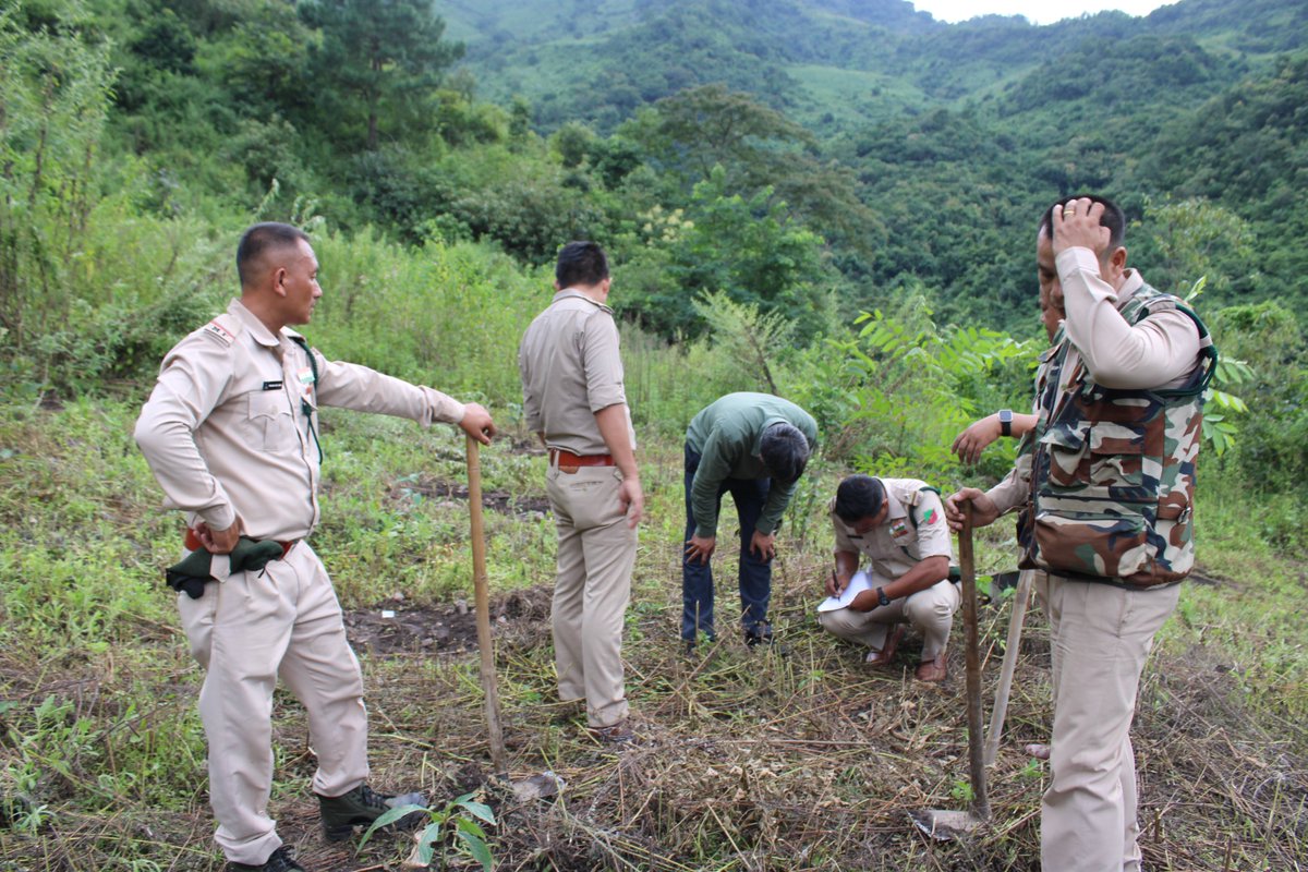 DrVivekVaishnav's tweet image. The first germplasm bank of the &apos;state tree of #Manipur&apos; is being established by the Central Division @GANESHN1985 state forest department of Manipur, under the commendable supervision of the HoFF @ANURAGBAJP83366 and technical support from Department of Forestry @ManipurUniverse