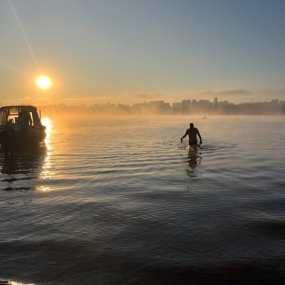 DOGMATOUR tweet media