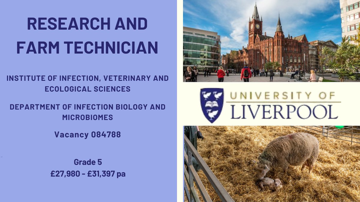 Liverpool University Jobs (@livunijobs) on Twitter photo 📢We’re looking for an enthusiastic #research #technician with experience working with #livestock, who is keen to combine both field and lab work.
Information/ Apply ➡️tinyurl.com/4fppmh56
<a href="/LivUniHLS/">Faculty of Health and Life Sciences</a> <a href="/LivUni_IVES/">Inst of Infection Veterinary & Ecological Sciences</a> <a href="/LivUniTechNet/">University of Liverpool Technical Network</a> 📢We’re looking for an enthusiastic #research #technician with experience working with #livestock, who is keen to combine both field and lab work.
Information/ Apply ➡️tinyurl.com/4fppmh56
<a href="/LivUniHLS/">Faculty of Health and Life Sciences</a> <a href="/LivUni_IVES/">Inst of Infection Veterinary & Ecological Sciences</a> <a href="/LivUniTechNet/">University of Liverpool Technical Network</a>