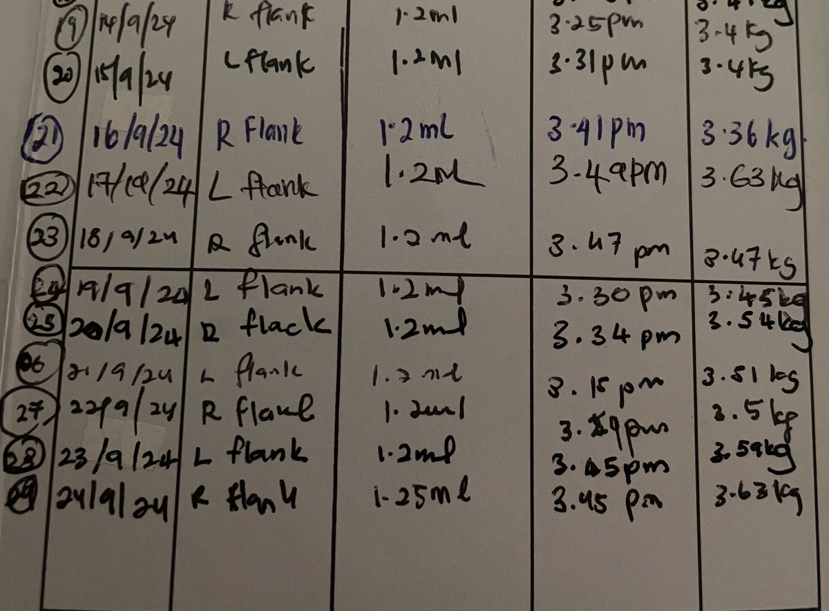 itsybitsymin's tweet photo. day 29 on gs for kiki cicak here🤘💪
harini naik dosage sikit to 1.25ml.
#FIPsucks #neurodryFIP
Last pic.
Yoyo: tadi asal lama sgt?
Kiki: mak yg driveee lahhhh! https://t.co/ZfBVu4GOHd