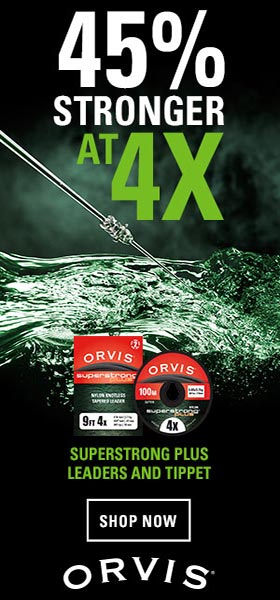 Seeing the Fish: Tips on how to focus and see more fish  dlvr.it/TDcZNq