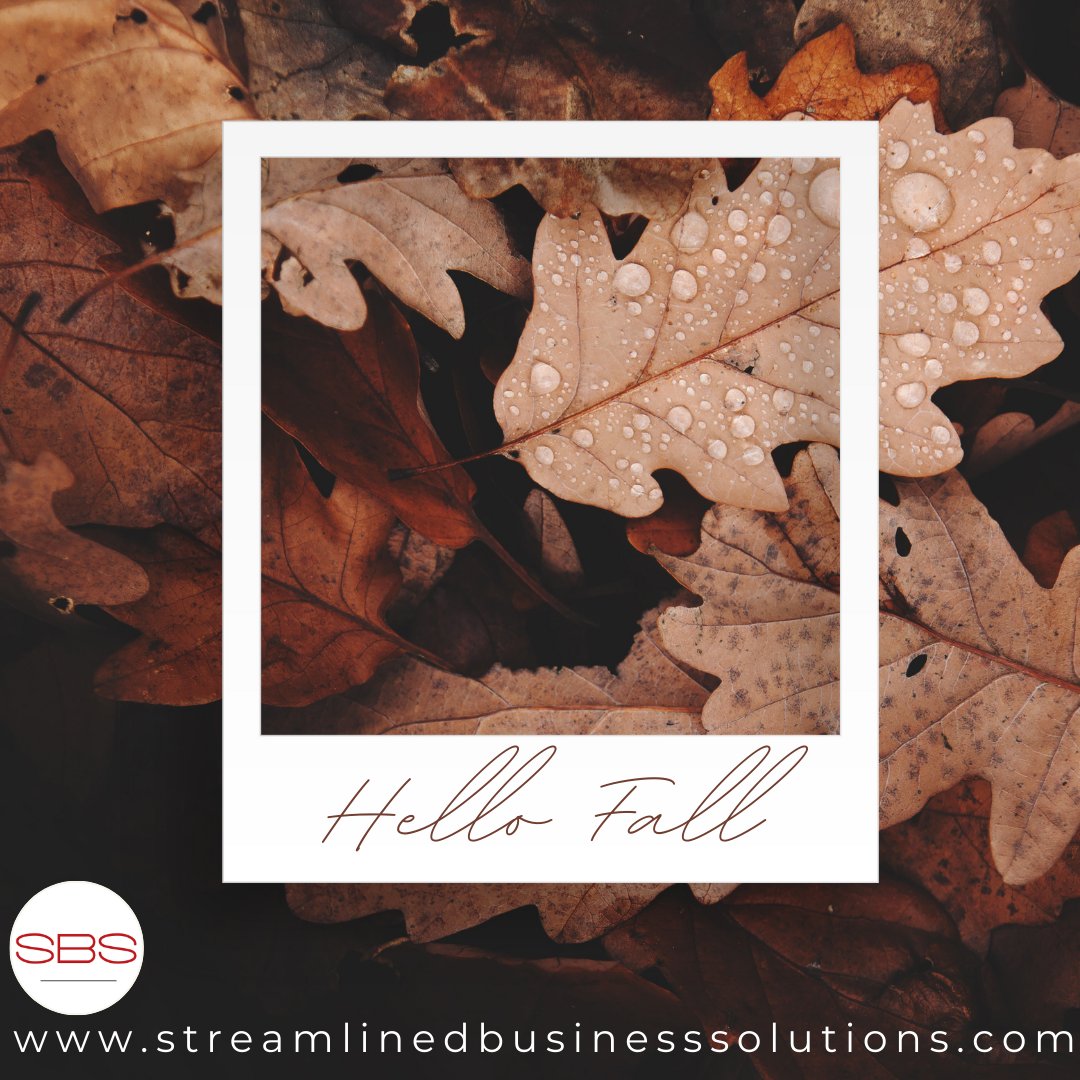 #FinancialLiteracy #ExpenseAwareness #streamlinedbusinesssolutions #nationwidebookkeepingfirm
#knowyournumbers