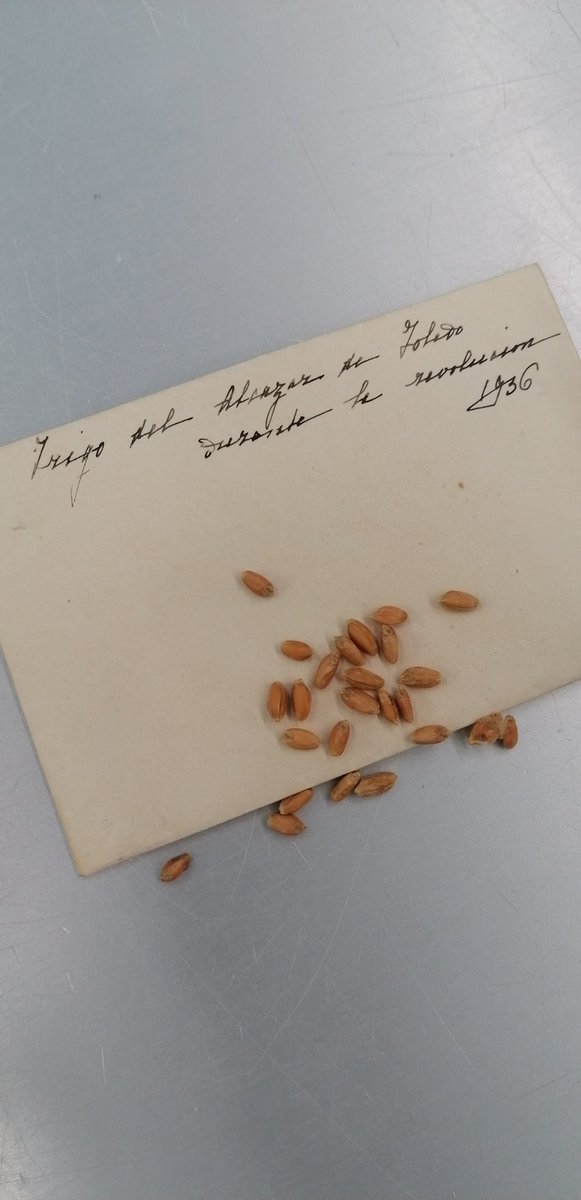 Víctor Torres tweet media