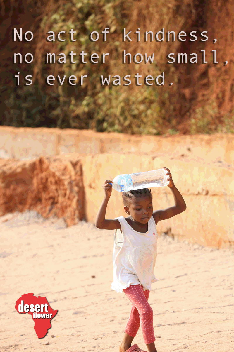 Donate now and give them a better future!

Thank you! 💛❤️

desertflowerfoundation.org/en/general-don…

#EndFGM #StopFGM #Education #support #donatetoday #donate #help