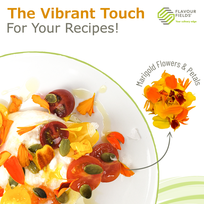 FlavourFields's tweet photo. Meet Marigold Flowers: the edible blossoms that pack a punch of color and flavor! 💥

These bright orange and yellow beauties add a spicy, tangy twist to any Fall dish. 

Visit: 
https://t.co/XW0PMdYh8Q
https://t.co/gb8lstmbNy

#marigolds #flavourfields #edibleflowers https://t.co/JYmQNeNwIL