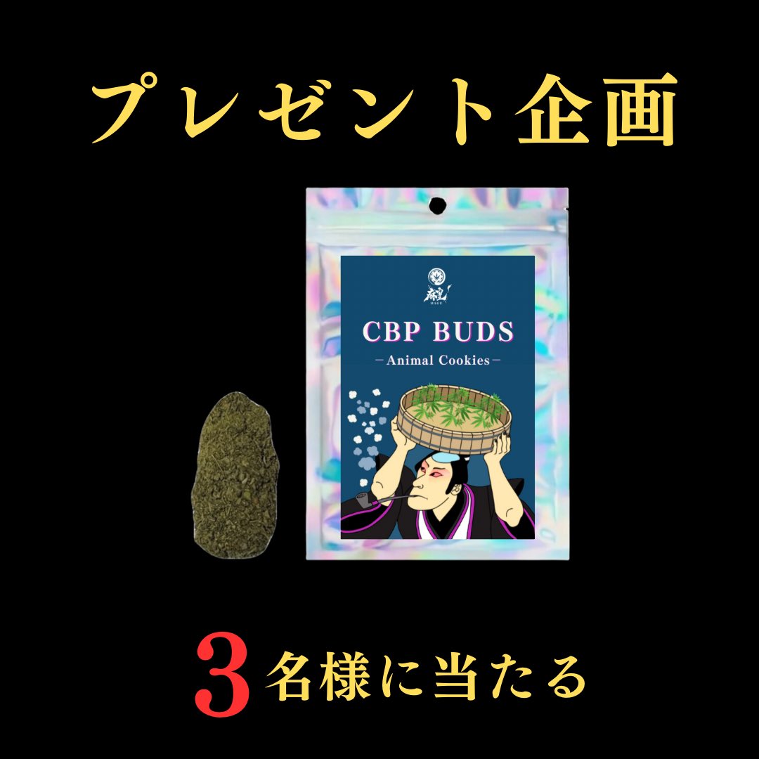 cbdmaou's tweet photo. 🔥【凍結記念プレゼント企画】🔥

◽︎CBP BUDS 3.5g

《応募方法》リツイート

《締切》9月27日 https://t.co/MS4yJMFbts