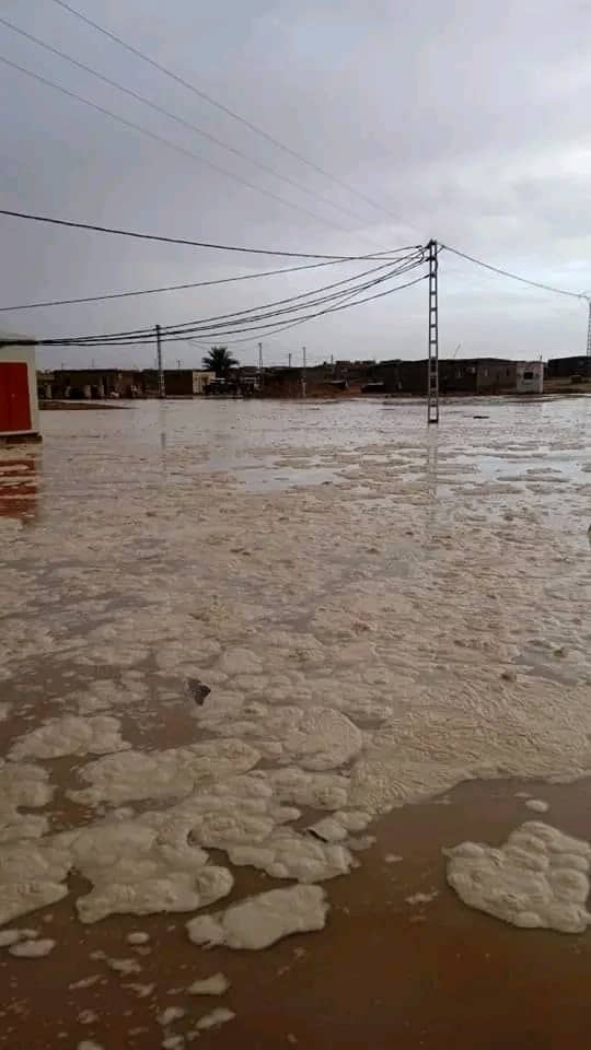 Rivas-Sahel tweet media