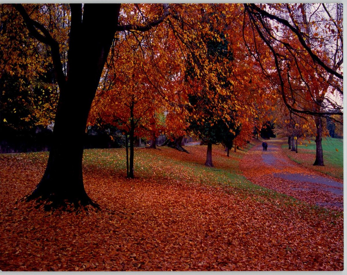 “I'm so glad I live in a world where there are Octobers.”

Anne of Green Gables

Levengrove Park, #Dumbarton, October 2003.