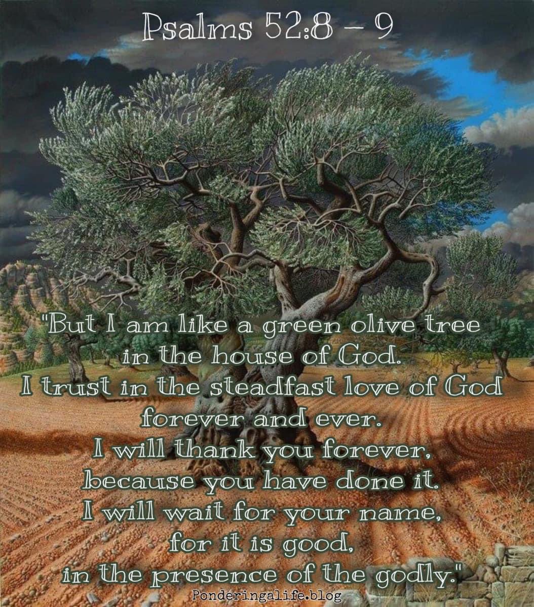 For His sake, to His glory
#MercifulPouringGrace

The more we give God, the more we receive from Him (Luke 6:38)

Romans 2:6 God "will repay each one according to his deeds."

How much do we pray for others, and how often do we deny the flesh?

"For if you are living in accord