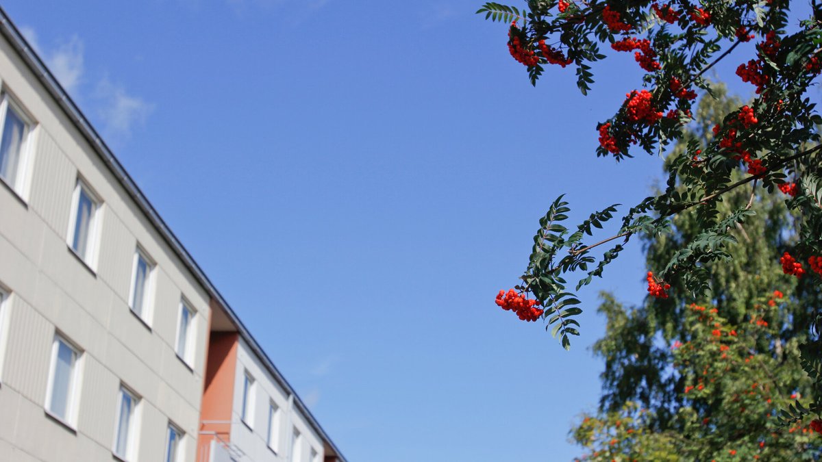 Selvitys vuokra-asumisen ja omistusasumisen välimallin tarpeesta on valmistunut.

Selvityksen laativat selvityshenkilöt tekniikan tohtori <a href="/mattikuronen/">Matti Kuronen</a>  ja pääekonomisti <a href="/JuhanaBrotherus/">Juhana Brotherus</a>.
Lue lisää: ym.fi/-/selvitys-vuo…