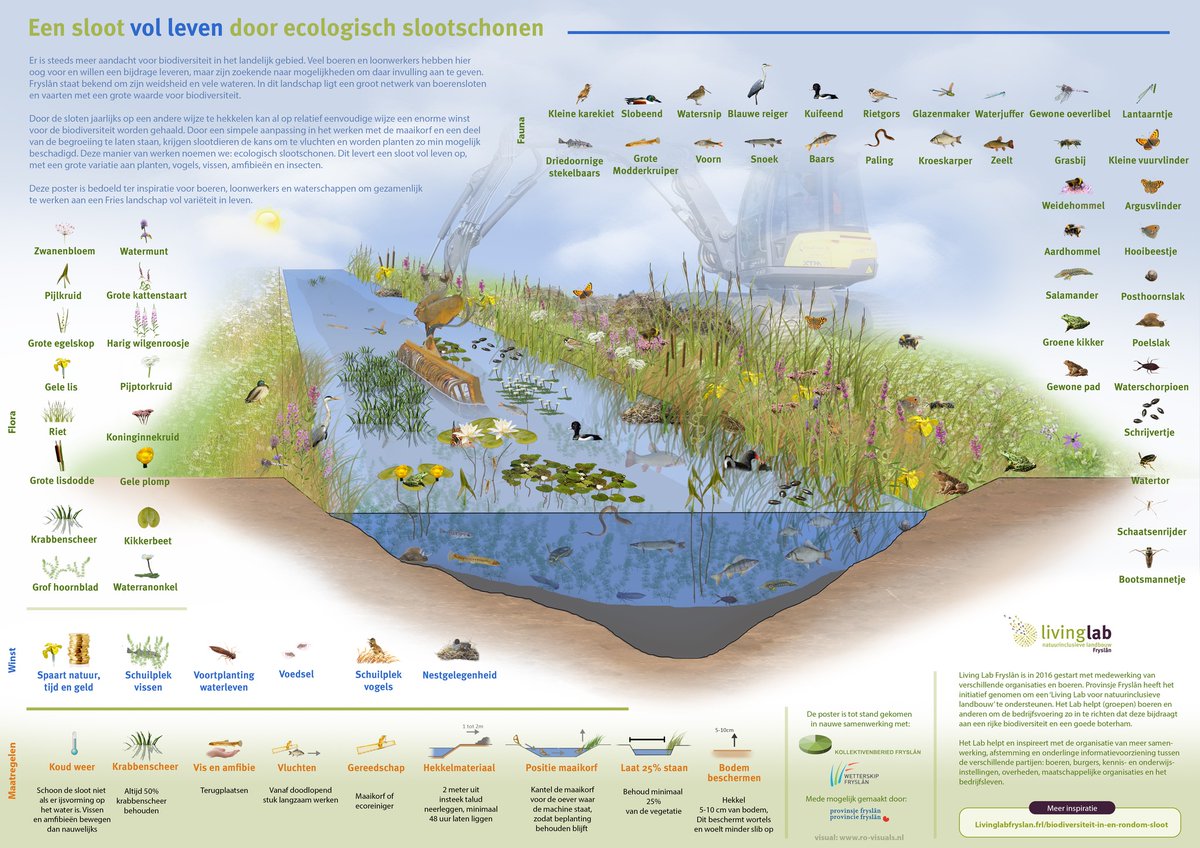 Donderdag 26 september organiseren we samen met @Boerennatuurfryslan een demo ecologisch slootschonen in Blesdijke. Hier kom je alle ins en outs te weten. Meer info en aanmelden: Brûsplakbijeenkomst Ecologisch slootschonen | BoerenNatuur Fryslân (boerennatuurfryslan.frl)