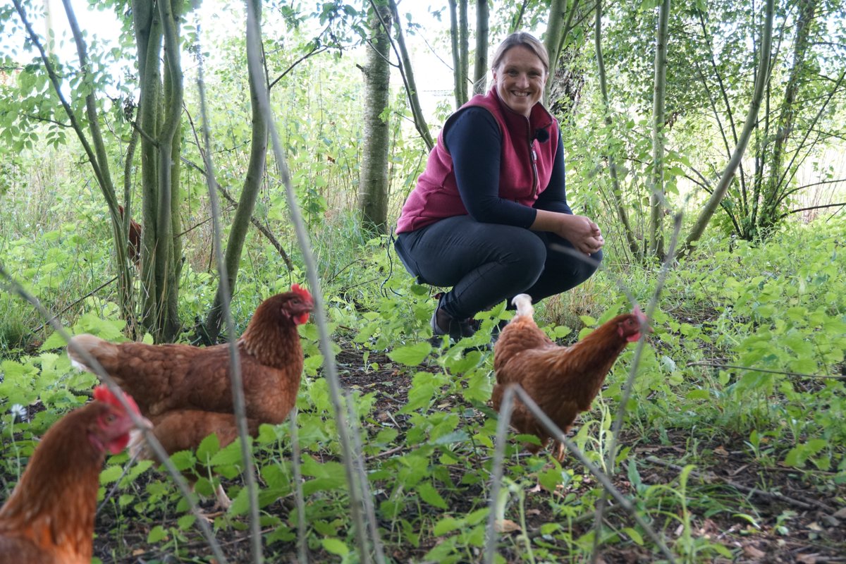 ReForestTweets's tweet image. 🌳👩‍🌾✨ At #ReForest, we recognise the important role of #WomenInAgroforestry! 

Check out the interesting video of Clare Hill integrating tree planting with livestock management: youtube.com/watch?v=fEzcR_…

🫶Explore more at our #KnowledgeHub: reforest.euromed-economists.org/knowledge-post…