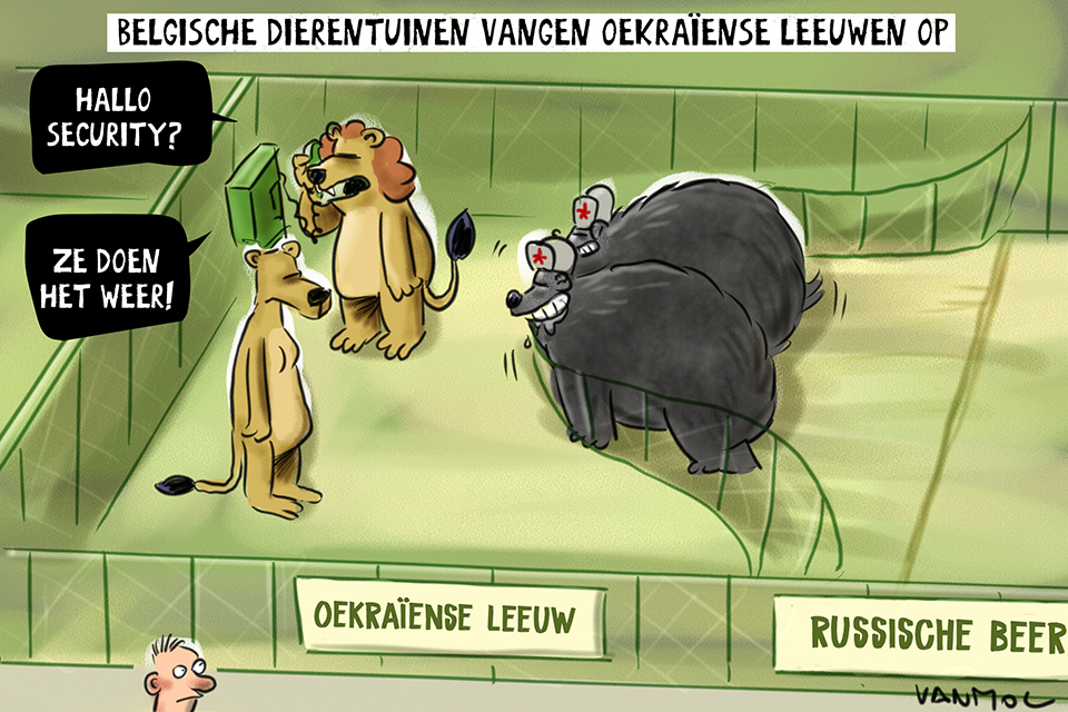 Vanmoltoons's tweet photo. #doorbraak #cartoon #vanmol #vanmoltoons #oekraine #leeuwen #beren #zoo https://t.co/kJxLubSUWk