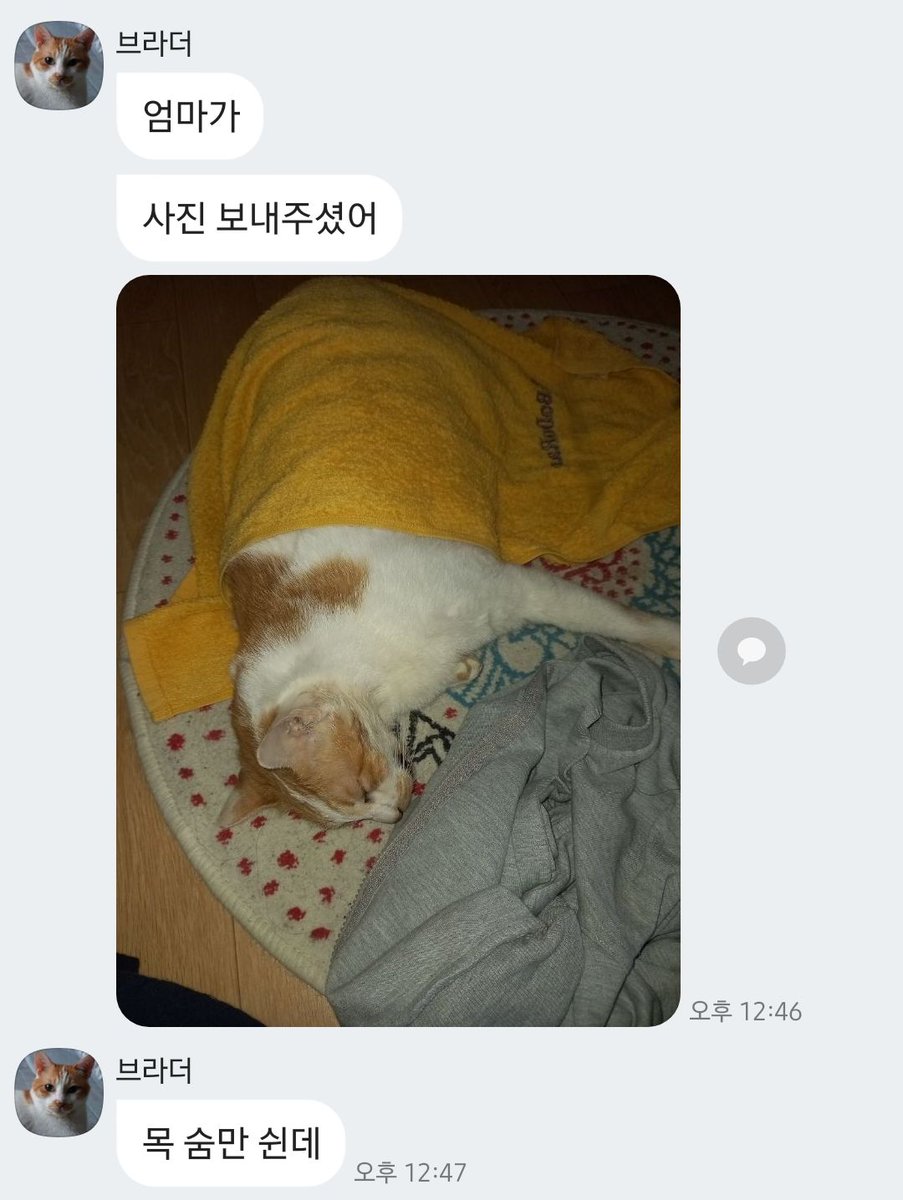 는낵 tweet media