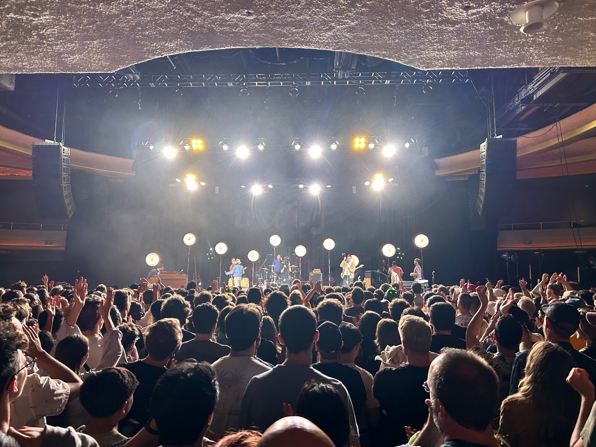 Megan Lubin tweet media