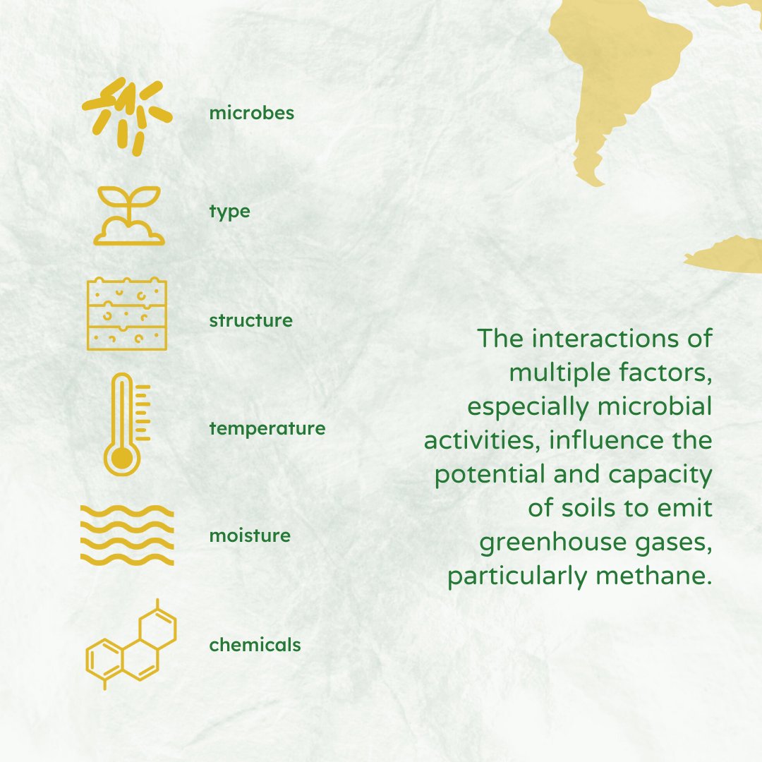 irri's tweet photo. #DidYouKnow that #soils play a central role in climate mitigation, as they can store significant amounts of carbon but are also a source of greenhouse gases? 
IRRI is conducting research to develop sustainable practices that balance productivity w/ reduced environmental impacts. https://t.co/cCTPjvKEdM