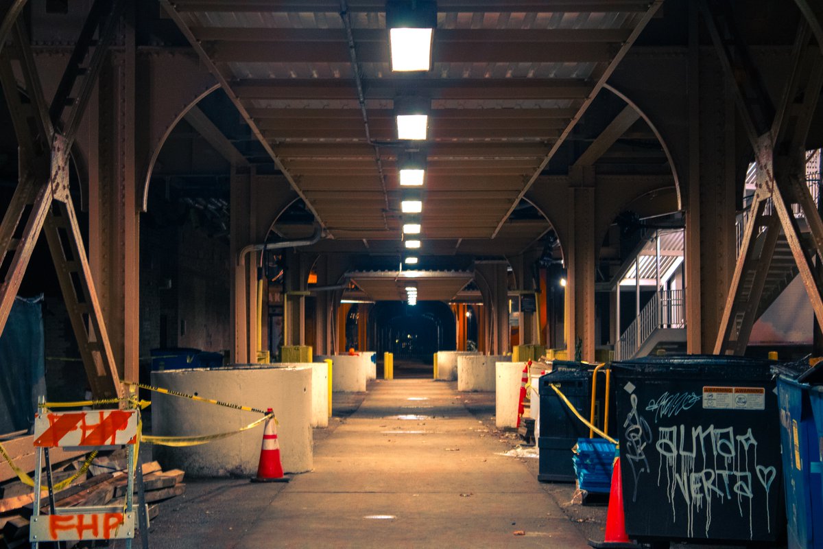 emily north tweet media