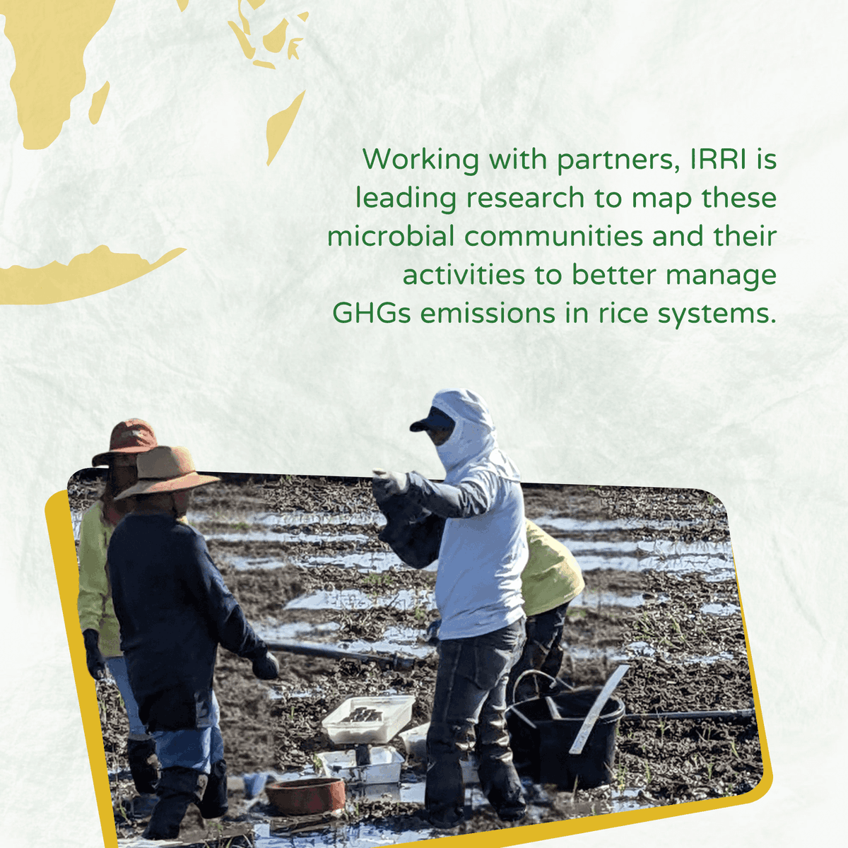 irri's tweet photo. #DidYouKnow that #soils play a central role in climate mitigation, as they can store significant amounts of carbon but are also a source of greenhouse gases? 
IRRI is conducting research to develop sustainable practices that balance productivity w/ reduced environmental impacts. https://t.co/cCTPjvKEdM