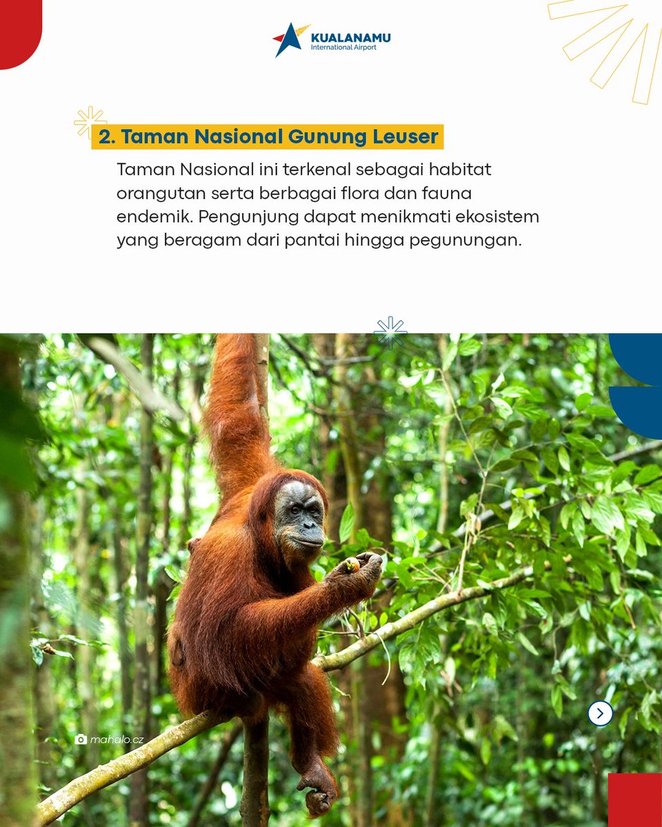 kno_airport's tweet image. Wah destinasi mana saja yang ingin kamu kunjungi? Coba share di kolom komentar ya #APfriends

#Kualanamu
#Bandarakualanamu
#Visitsumut