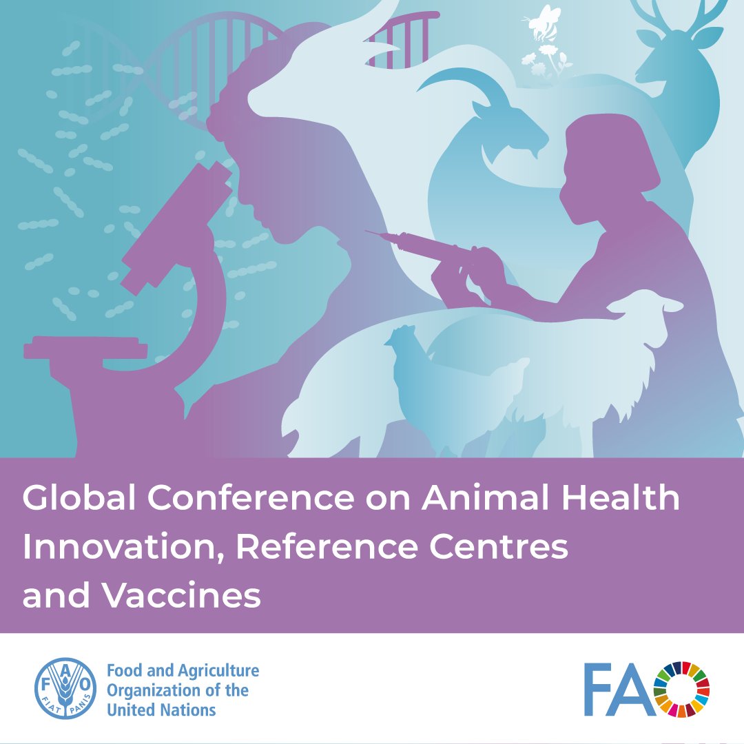 FAO Livestock (@faolivestock) on Twitter photo Day 2 of the <a href="/FAO/">Food and Agriculture Organization</a> Global Conference on Animal Health Innovation, Reference Centres and Vaccines is about to begin!
Tune in to the webcast for today's sessions on reference centres, capacity building and veterinary vaccines.
Watch live📺 shorturl.at/utX8v
#RCVI2024 Day 2 of the <a href="/FAO/">Food and Agriculture Organization</a> Global Conference on Animal Health Innovation, Reference Centres and Vaccines is about to begin!
Tune in to the webcast for today's sessions on reference centres, capacity building and veterinary vaccines.
Watch live📺 shorturl.at/utX8v
#RCVI2024