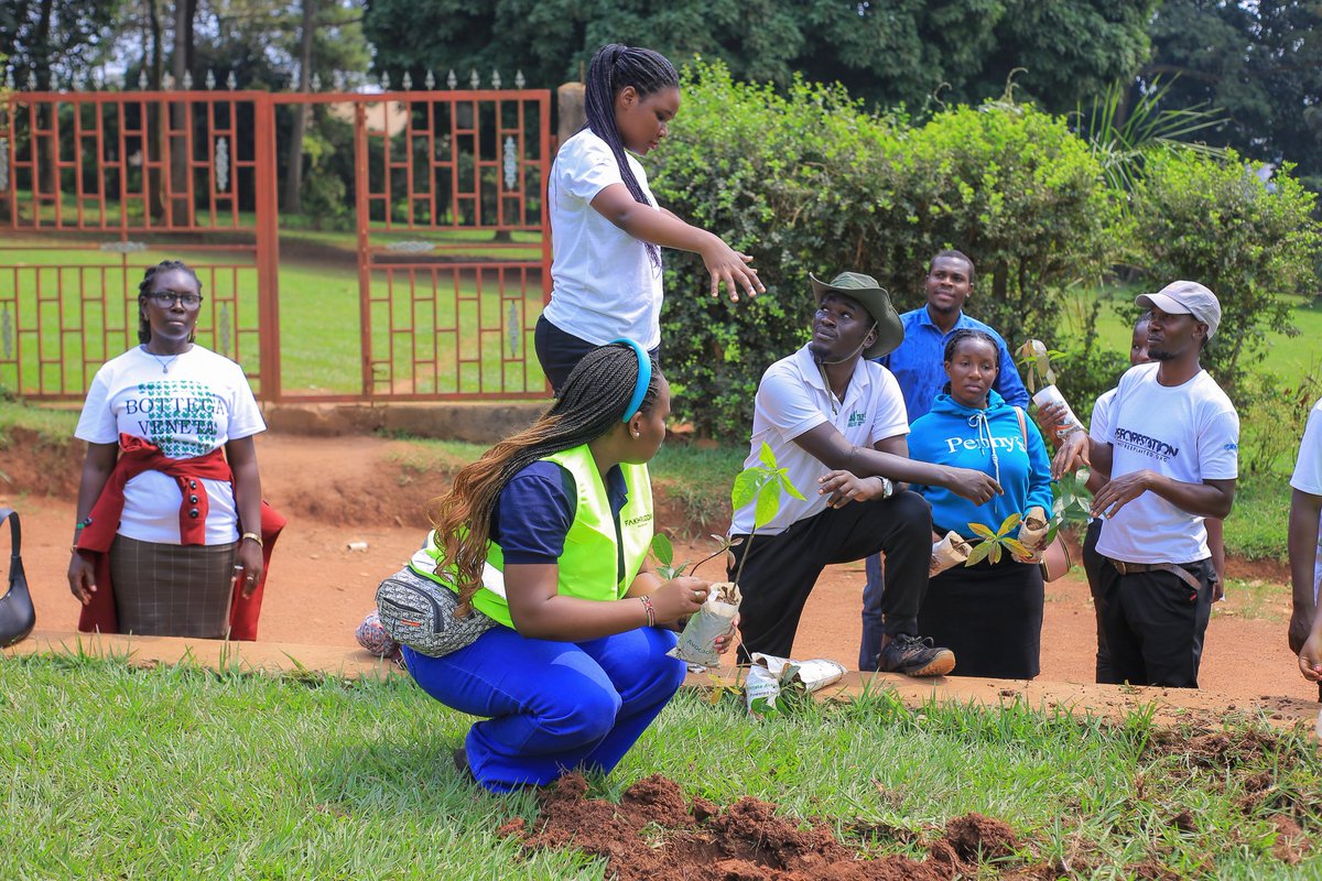 Trinity Forestry Services Ltd (@forestrytrinity) on Twitter photo For in the true nature of things, if we rightly consider, every green tree is far more glorious than if it were made of gold and silver.”2 — Martin Luther King Jr.
<a href="/ChrismarvinsT/">Christopher Marvin Tumusiime</a>
<a href="/TrinityForestry/">Trinity Forestry Services</a>
<a href="/ClimateReality/">Climate Reality</a> For in the true nature of things, if we rightly consider, every green tree is far more glorious than if it were made of gold and silver.”2 — Martin Luther King Jr.
<a href="/ChrismarvinsT/">Christopher Marvin Tumusiime</a>
<a href="/TrinityForestry/">Trinity Forestry Services</a>
<a href="/ClimateReality/">Climate Reality</a>
