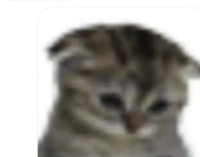 ⠀
⠀ ⠀ ᵐᵉ…
⠀