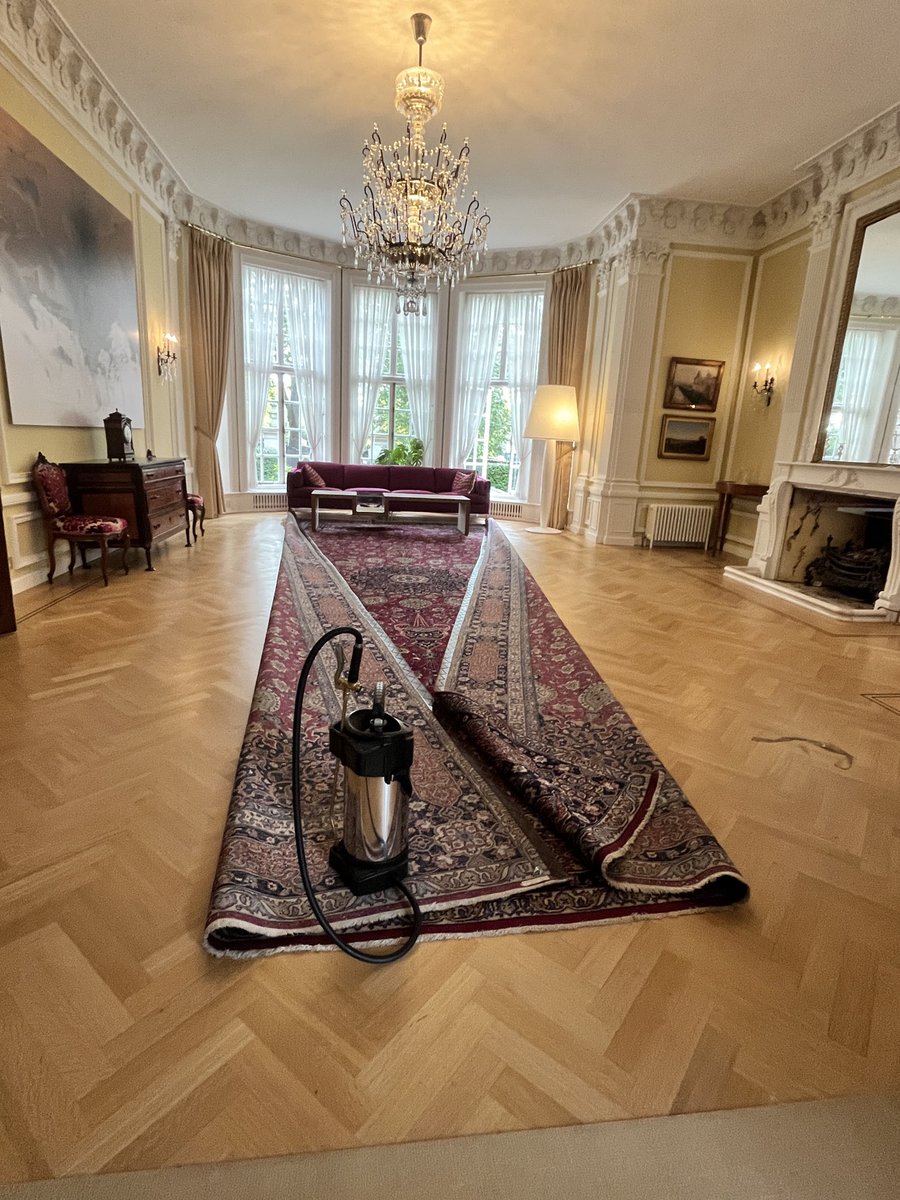 It’s not necessary to treat the complete carpet to protect them from textile insect pests.  The edge is often the first area to be attacked. Apply #Constrain to the under edge and vacuum regularly. #carpetbeetle