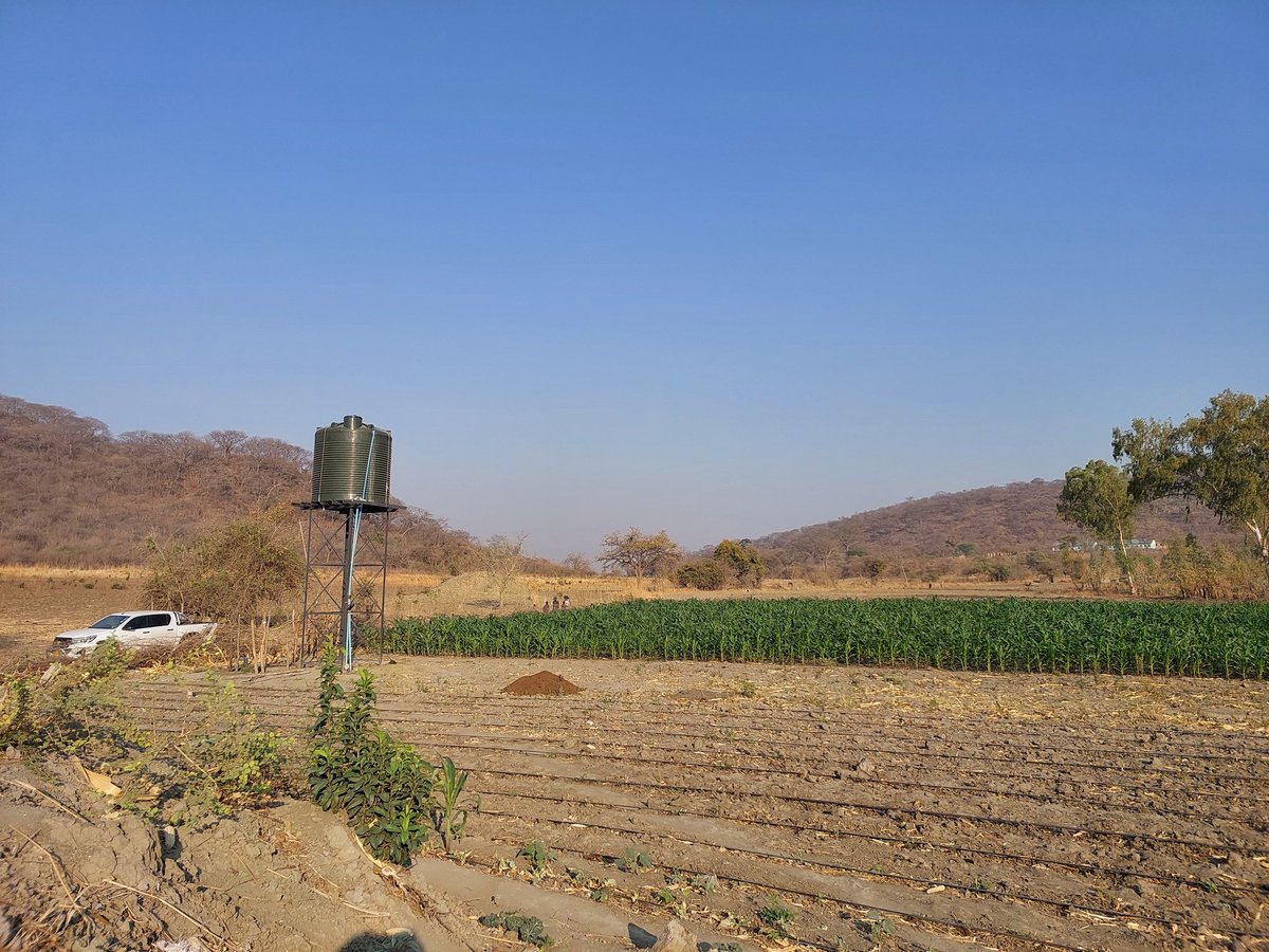 🌱 Excited to witness the impact of the #UkamaUstawi initiative in Makonde Chinhoyi! 💧 With drip irrigation and solar power, our farmers are thriving even in the dry season. Proud to be part of this journey towards sustainable food systems in East and Southern Africa!