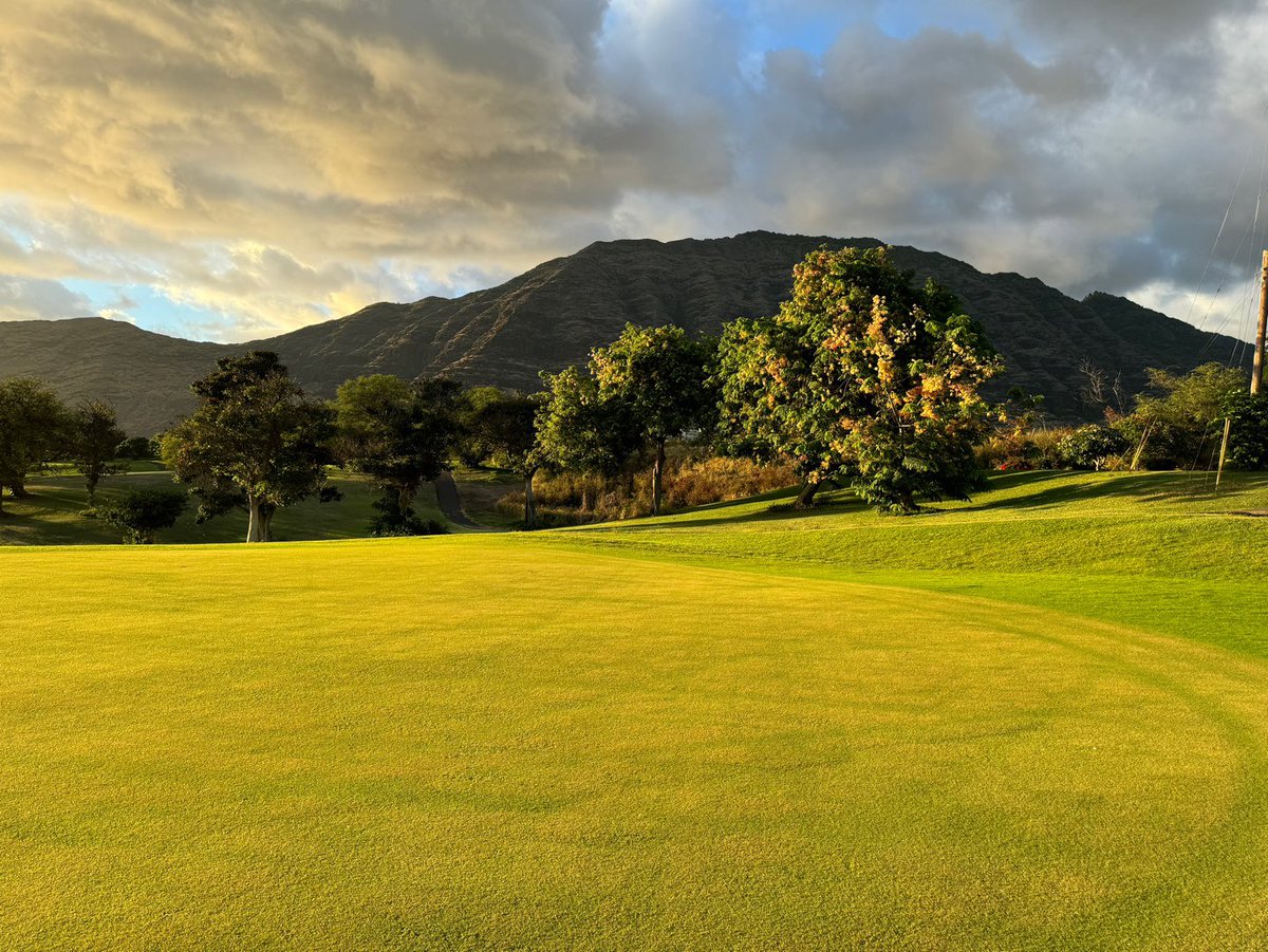 하와이 프로젝트 본격 시작! #하와이 #오아후 #하와이주택단지 #하와이고급리조트 #하와이골프장 #와이그룹건축 #와이그룹디자인 #양진석건축 #양진석해외프로젝트