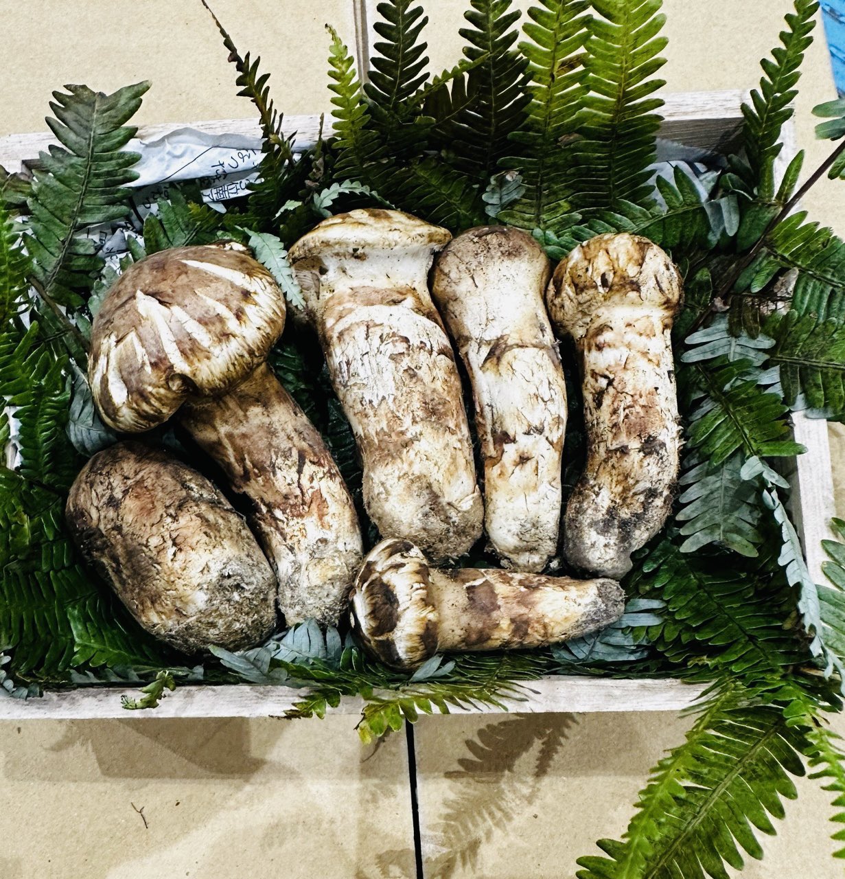 光 ～八百屋のお兄さん21年目突入～ on X:  