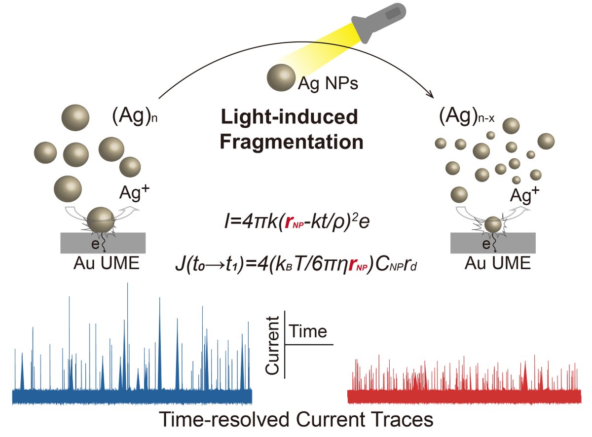 of_journal57009's tweet image. Tracking Light-Induced Fragmentation of Single Silver Nanoparticles by Single Entity Electrochemistry doi.org/10.13208/j.ele… Keywords: stochastic collision electrochemistry, etc. Corresponding Authors: Si-Min Lu, Yi-Tao Long @YTLong_Chem #electroanalysis #OpenAccess