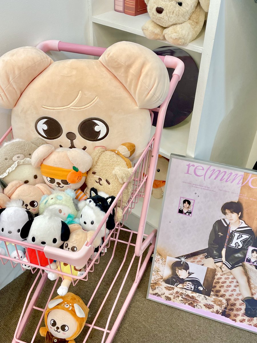 kmxxng's tweet photo. 믿음과 신뢰의 파도님 생카잖아..◠‿◠🤍
가나지로 꽉 채워진 공간 너무너무 소중하다🥹🥹🥹
럭드 상품들도 짱 ㄱㅣ욤..🤍🤍
지비츠 많이 뽑앗으니까 크록스 살거임(?)

#remind_of https://t.co/jscyKcZAhg